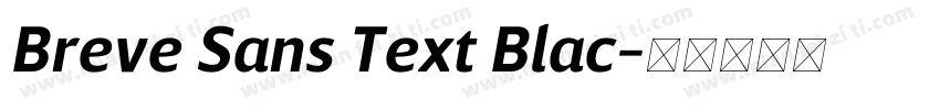 Breve Sans Text Blac字体转换